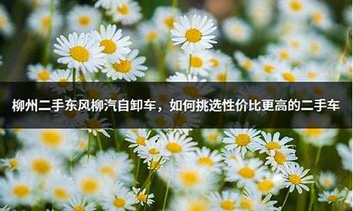 柳州二手车个人转让3到5万_柳州二手车六万以下